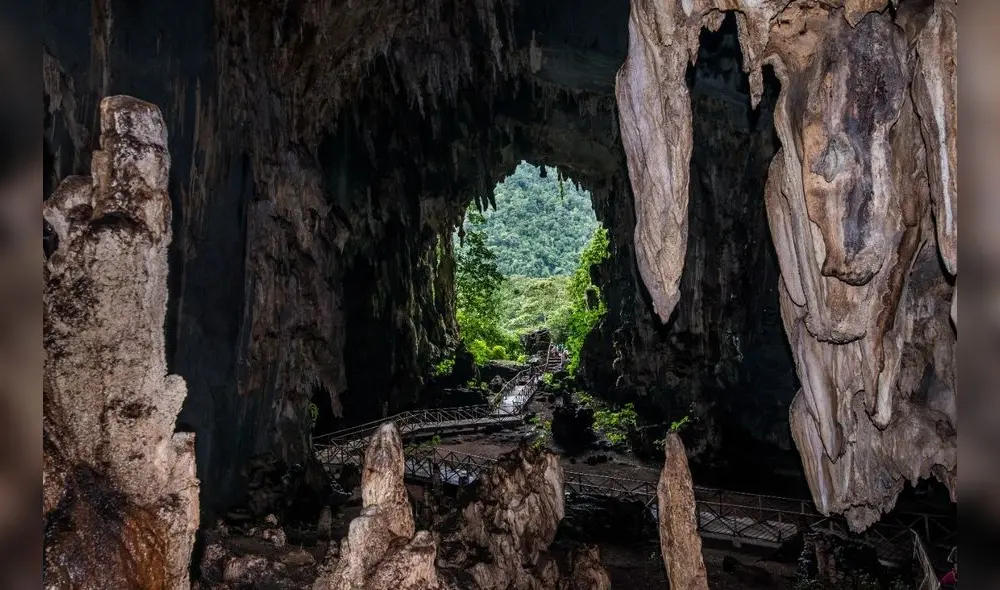 Parque Nacional de Tingo María, Huánuco.