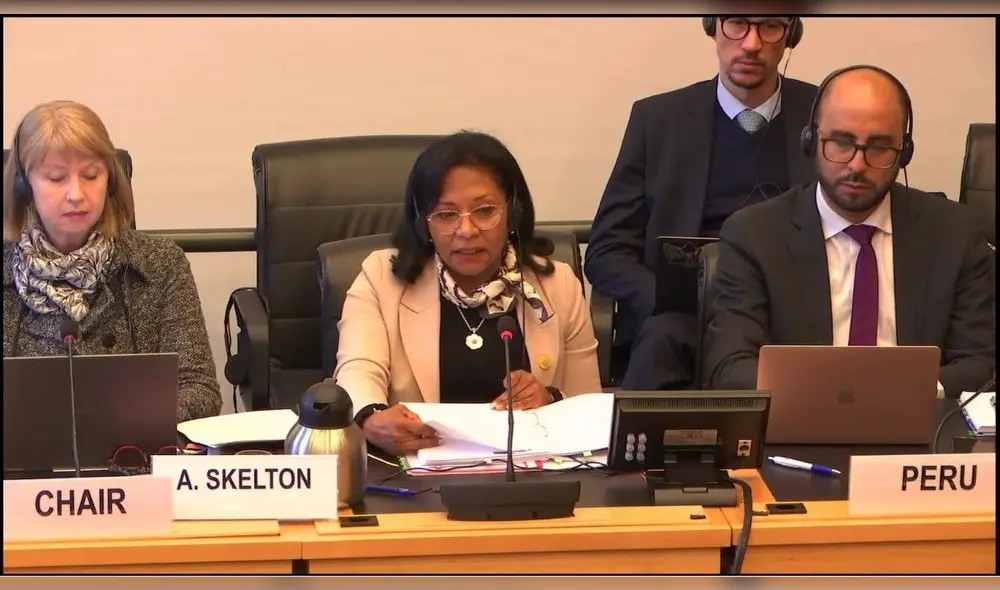 ONU cuestionó a la ministra de la Mujer sobre los proyectos de ley que aprobó el Congreso: Foto: Difusión