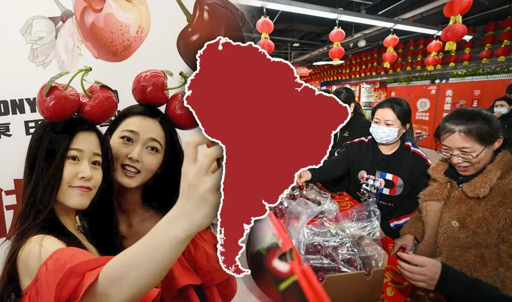 Las cerezas chilenas destacan en el mercado chino, siendo el principal producto exportado de América Latina. En la temporada 2023-2024, las importaciones alcanzaron los US$2.260 millones. Foto: composición LR/Xinhua/La Tercera Las cerezas chilenas destacan en el mercado chino, siendo el principal producto exportado de América Latina. En la temporada 2023-2024, las importaciones alcanzaron los US$2.260 millones. Foto: composición LR/Xinhua/La Tercera