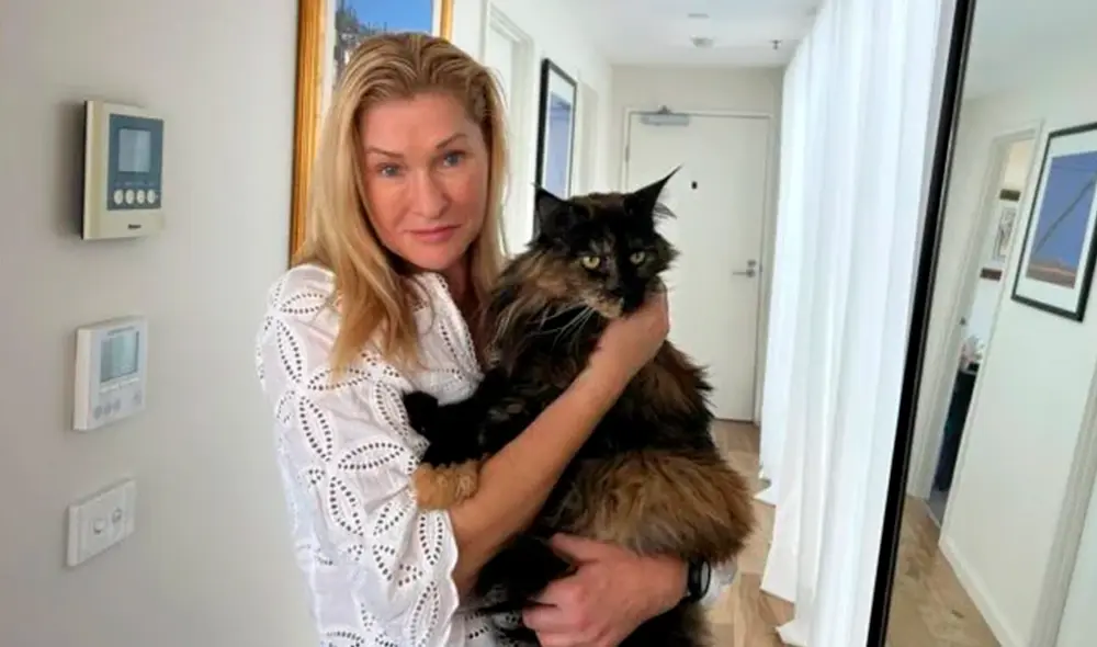 El pasado 13 de enero, Mittens, una gata de 8 años, volaría con su familia de Christchurch a Melbourne, su nuevo hogar. Foto: Luz de Melilla.