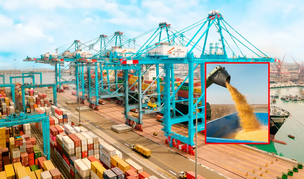 El puerto tendrá un sistema para descargar granos y será el más moderno de Sudamérica. Foto: Composición LR/Andina. El puerto tendrá un sistema para descargar granos y será el más moderno de Sudamérica. Foto: Composición LR/Andina.