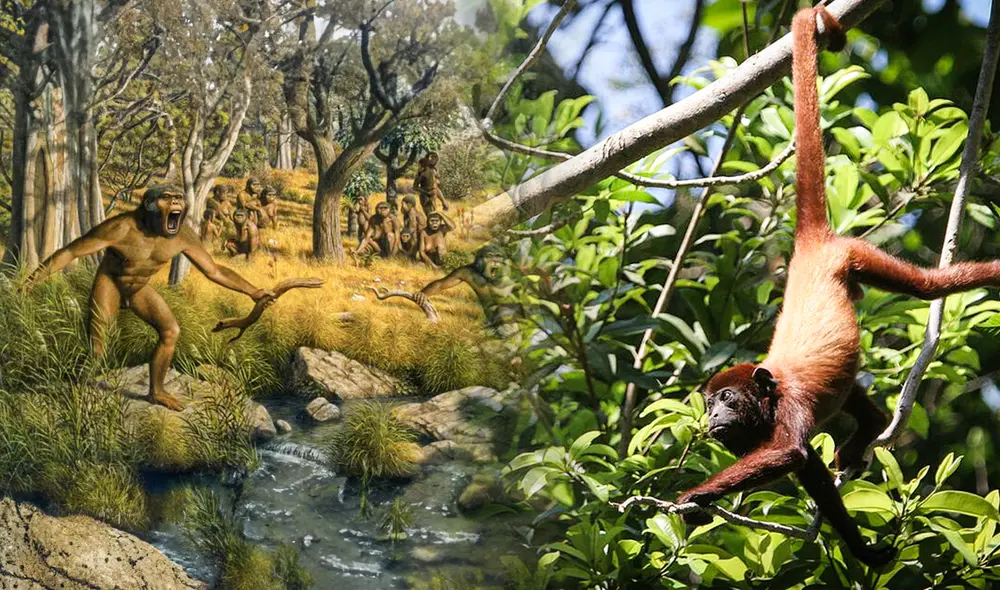 Descubren mutación en gen TBXT que causó la ausencia de cola en humanos. Foto: composición LR