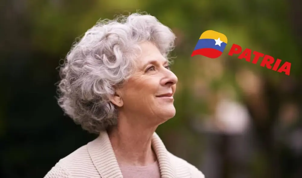 La mayoría de bonos se entregan por el Sistema Patria. Foto: composiciónLR/Freepik/Patria