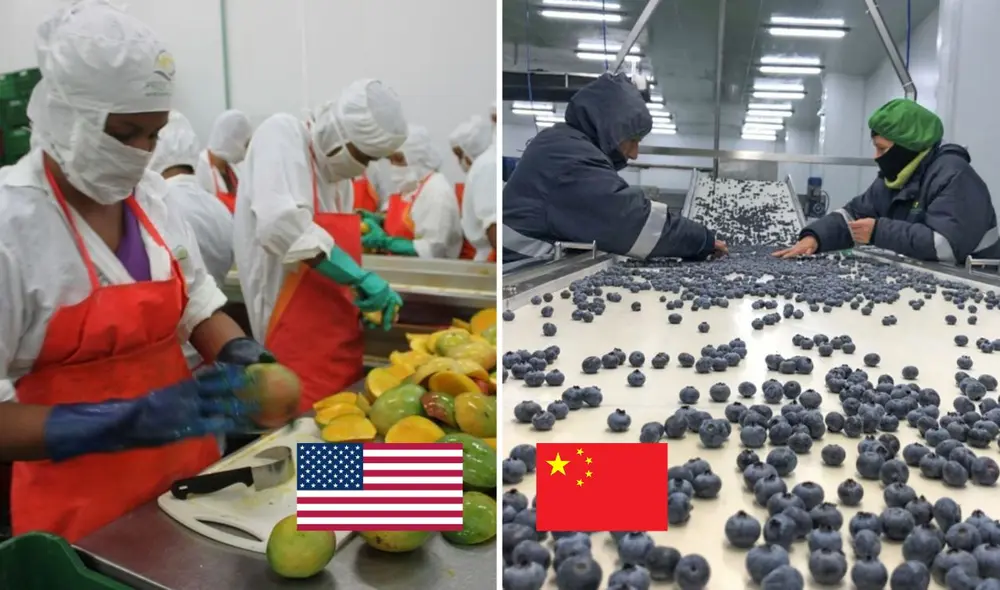 Perú tuvo un crecimiento importante en las exportaciones no tradicionales, según Adex. Foto: Andina/LR