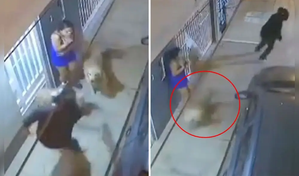 Mujer se encontraba en medio de atraco en asentamiento humano de Castilla, Piura. Foto: composición LR/Almendra Ruesta/La República