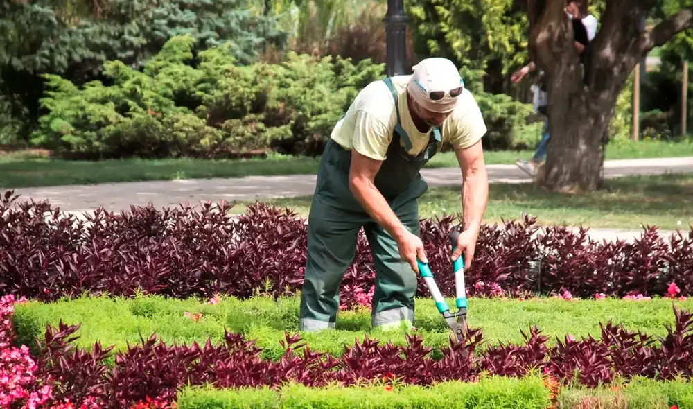 Los salarios son altamente competitivos, alcanzando hasta 121.879 dólares anuales, además de beneficios como cobertura médica integral y planes de jubilación. Foto: Portalparados