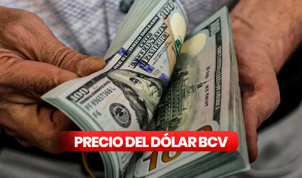 Precio del dólar BCV hoy, 25 de enero de 2025, según el Banco Central de Venezuela. Foto: composición LR. Precio del dólar BCV hoy, 25 de enero de 2025, según el Banco Central de Venezuela. Foto: composición LR.