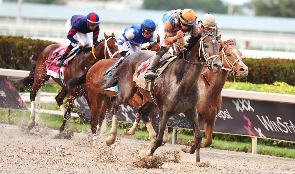 La Pegasus World Cup cierra el telón en Gulfstream Park. Foto: AFP La Pegasus World Cup cierra el telón en Gulfstream Park. Foto: AFP