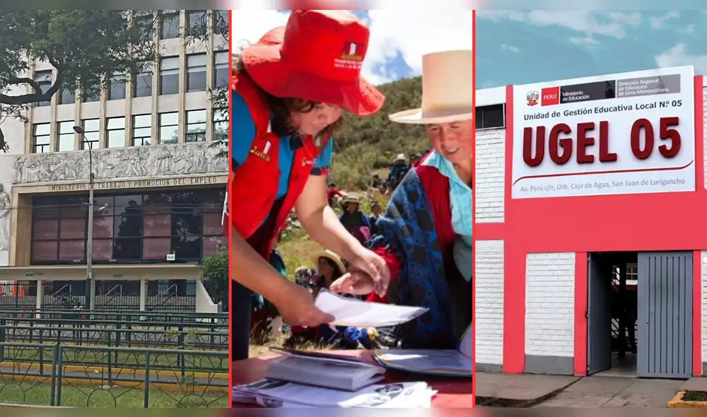 Instituciones en Lima han abierto convocatorias de empleo. Foto: Composición LR/Difusión