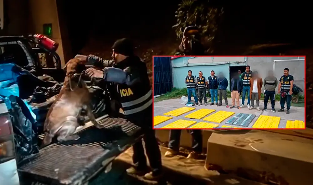 Se incautó un total de 300 envoltorios que estaban envueltos en bolsas amarillas y sellados con la figura de un delfín. Foto: Ministerio Público Se incautó un total de 300 envoltorios que estaban envueltos en bolsas amarillas y sellados con la figura de un delfín. Foto: Ministerio Público