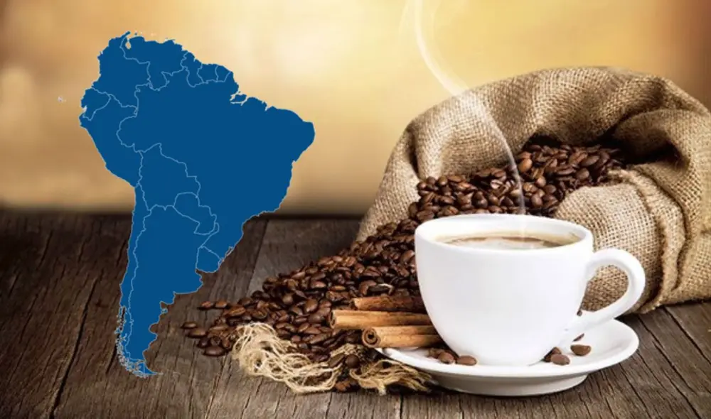 Según Statista, el Perú se consolidó en 2023 como el décimo exportador de café en el mundo. Foto: Andina/Vecteezy/LR Según Statista, el Perú se consolidó en 2023 como el décimo exportador de café en el mundo. Foto: Andina/Vecteezy/LR