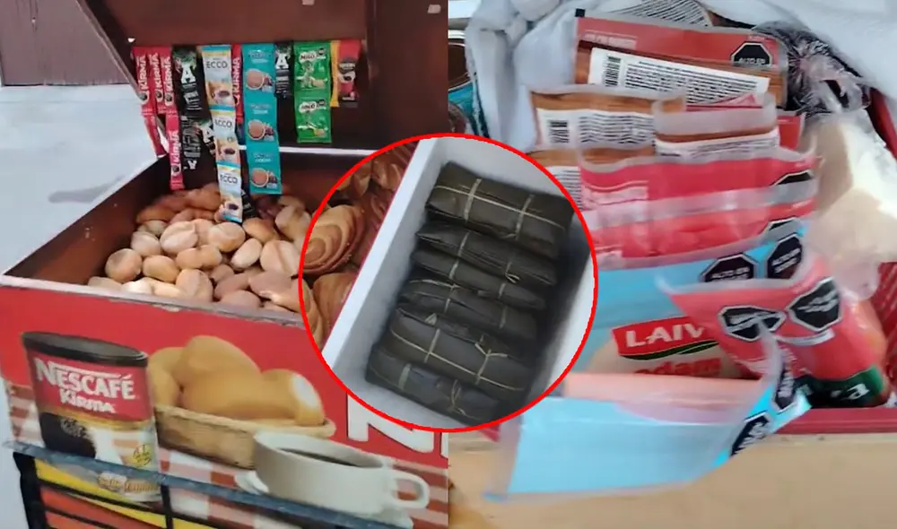 Clip acumula alrededor de 300.000 visualizaciones. Foto: composición LR/TikTok Clip acumula alrededor de 300.000 visualizaciones. Foto: composición LR/TikTok