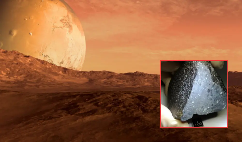 Este meteorito es especialmente relevante porque tiene una composición que es única y muy diferente a la de la mayoría de los meteoritos marcianos conocidos. Foto: composición LR/Enciclopedia Humanidades/Twitter