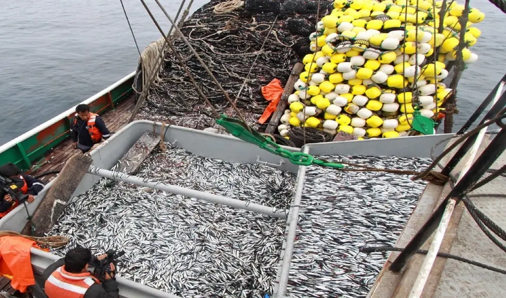 La pesca se recuperó en el 2024. Los puertos que reportaron un mayor desembarque fueron Chimbote, Malabrigo, entre otros. Foto: Andina