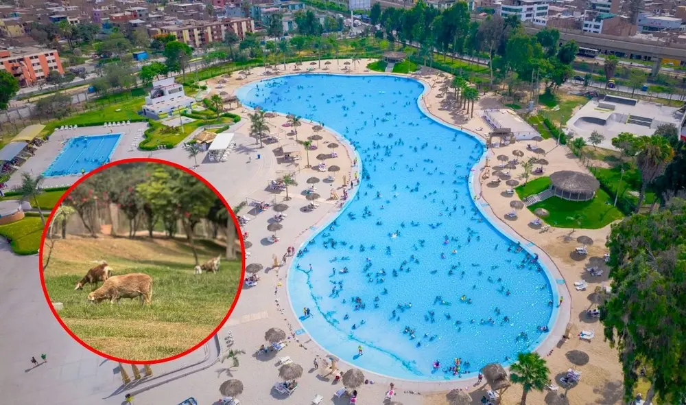 Los Clubs Metropolitano de Lima ofrecen modernas instalaciones recreativas y deportivas para impulsar la convivencia y el bienestar de las familias. Foto: composición LR/Serpar