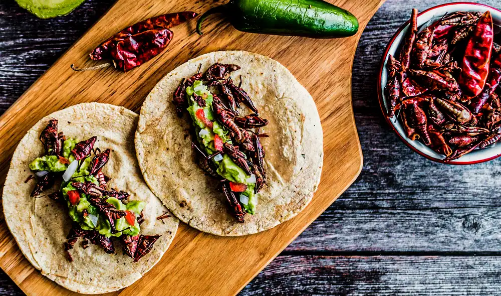 La alta valoración de estos platillos por parte de los usuarios de Taste Atlas respalda a la gastronomía del país. Foto: Secretos de cocina.