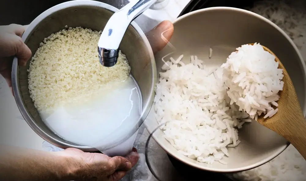El arroz, ¿se debe lavar o no antes de cocinarlo?: esto recomiendan los expertos para evitar problemas de salud. Foto: iStock/ABC.