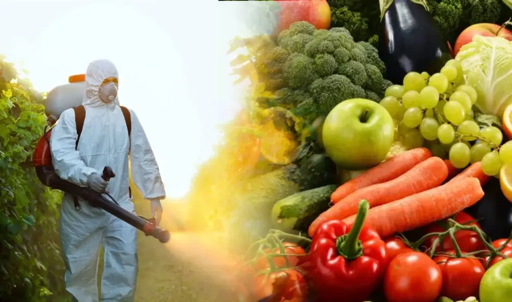 Frutas y verduras suelen tener insecticidas para librarlas de posibles agentes que afecten su crecimiento. Foto: Composición LR/Andina. Frutas y verduras suelen tener insecticidas para librarlas de posibles agentes que afecten su crecimiento. Foto: Composición LR/Andina.