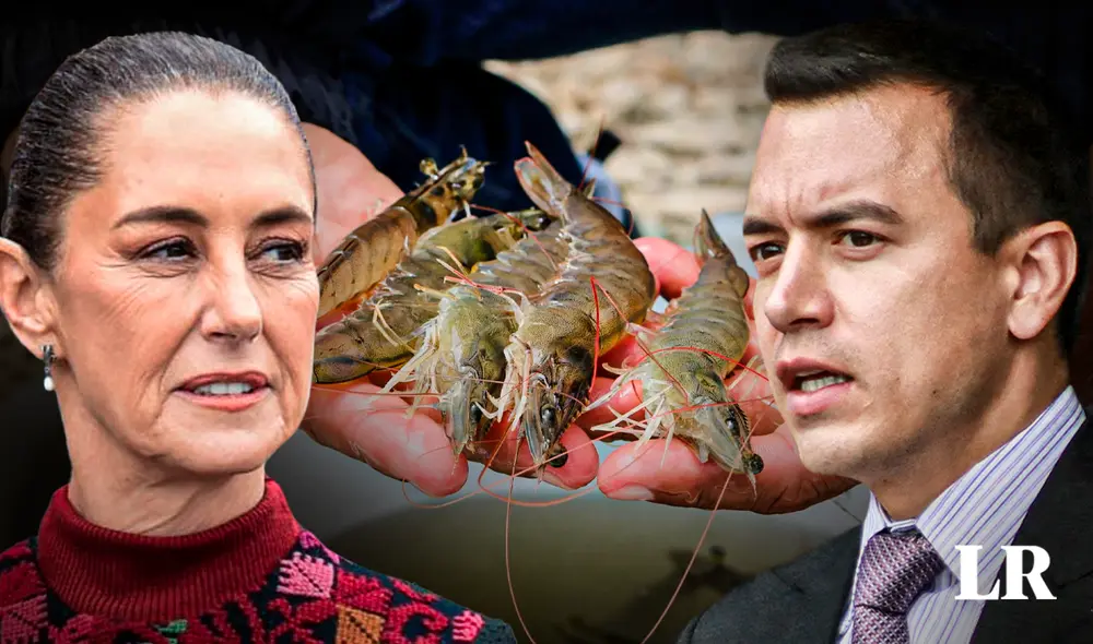 Daniel Noboa anunció que impondrá aranceles a productos mexicanos. Foto: Composición LR Daniel Noboa anunció que impondrá aranceles a productos mexicanos. Foto: Composición LR