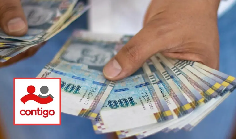 Para 2025 se planificó la elaboración de 6 patrones del programa Contigo. Foto: Andina/lr