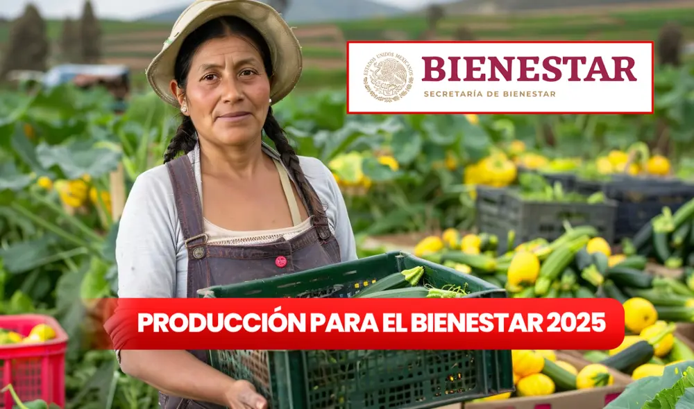 El programa de la Secretaría de Bienestar busca beneficiar a pequeños y medianos productores agrícolas este 2025. Foto: composición LR / Freepik