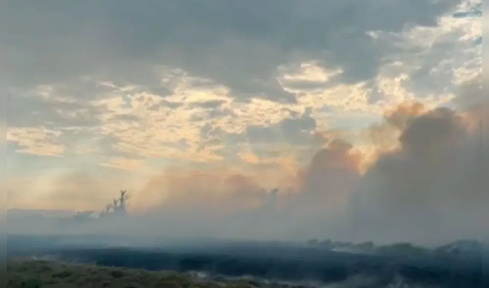 Incendio en Pisco. Foto: captura/canal N. Incendio en Pisco. Foto: captura/canal N.
