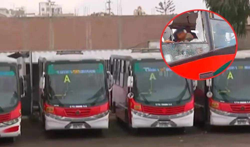 Empresa "Chama" y "73" acatan paro de transportistas. Foto: Composición LR