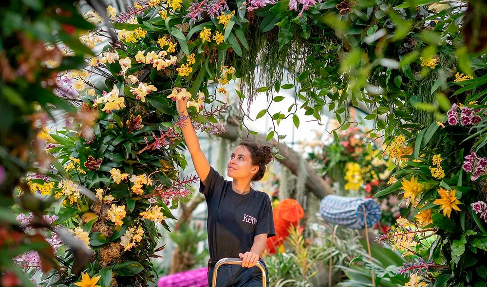 El Conservatorio Princesa de Gales es un innovador recinto de cristal con control automatizado de 10 zonas climáticas, donde los visitantes pueden descubrir distintos ecosistemas. Foto: Traveler. El Conservatorio Princesa de Gales es un innovador recinto de cristal con control automatizado de 10 zonas climáticas, donde los visitantes pueden descubrir distintos ecosistemas. Foto: Traveler.