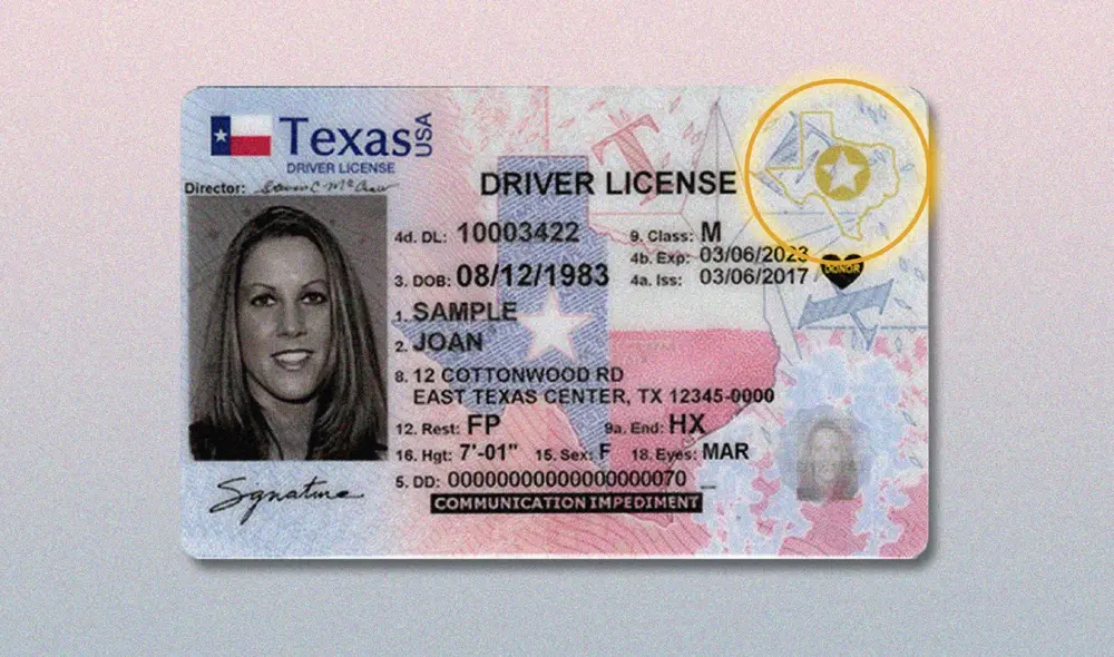 Si no cuentas con tu identificación federal, estos documentos podrás presentar en USA. Foto: difusión Si no cuentas con tu identificación federal, estos documentos podrás presentar en USA. Foto: difusión