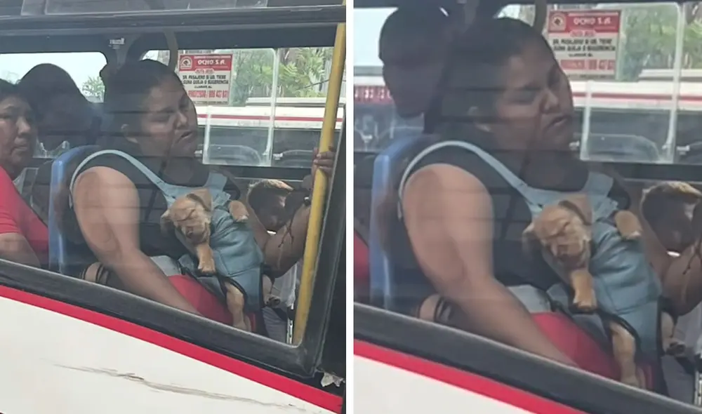 "El asiento reservado como debe ser para la mamita y su criatura", reaccionaron usuarios. Foto: composición LR/ TikTok "El asiento reservado como debe ser para la mamita y su criatura", reaccionaron usuarios. Foto: composición LR/ TikTok