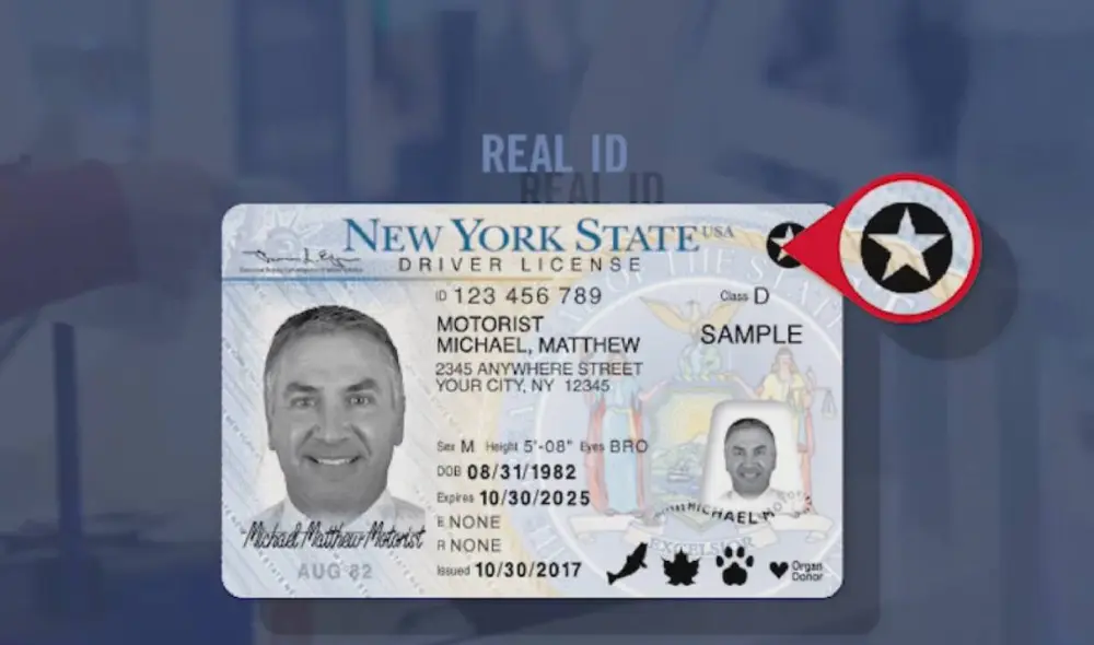 Nuevos requisitos para inmigrantes indocumentados en Nueva York. Composición: Lr/CNN