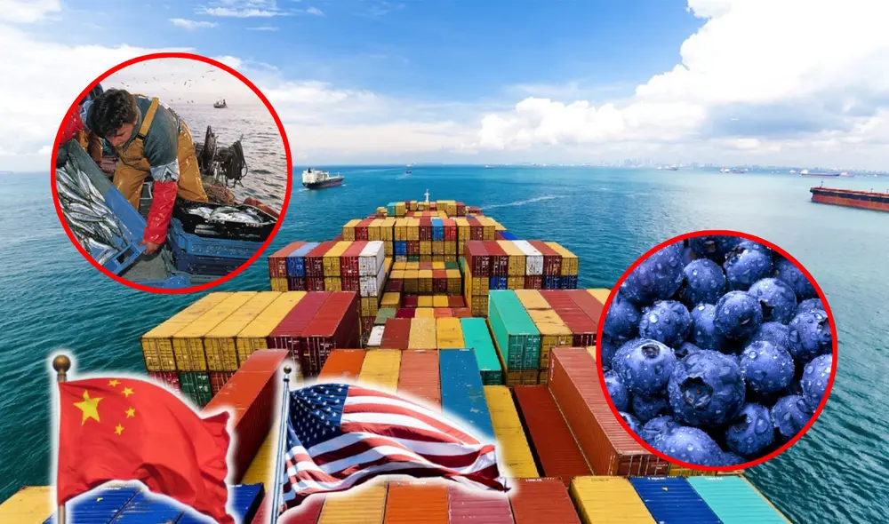 Mincetur informó que el sector pesquero y los envíos de arándanos tuvieron elevados rendimientos. Foto: composición LR/Andina Mincetur informó que el sector pesquero y los envíos de arándanos tuvieron elevados rendimientos. Foto: composición LR/Andina