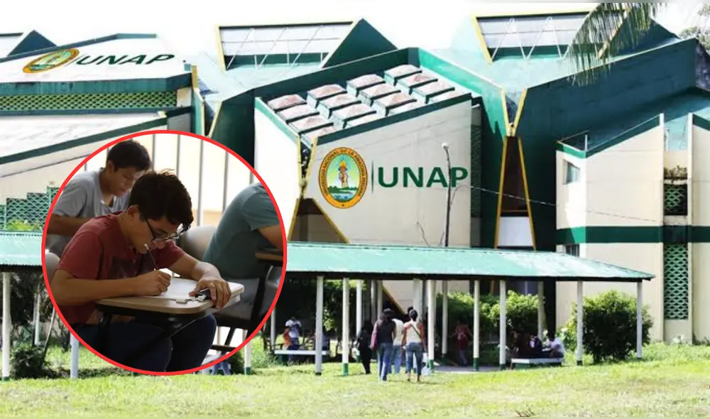 Conoce la lista completa de ingresantes para el examen de admisión UNAP 2025-II. Foto: Andina