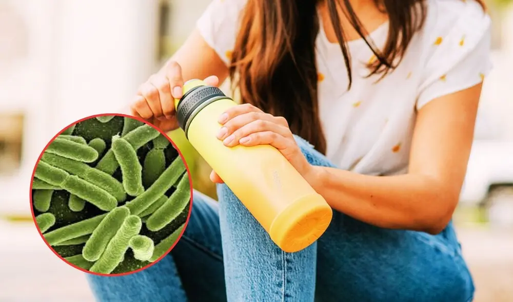 Este tipo de bacterias pueden provocar problemas gastrointestinales. Foto: composición LR / Google