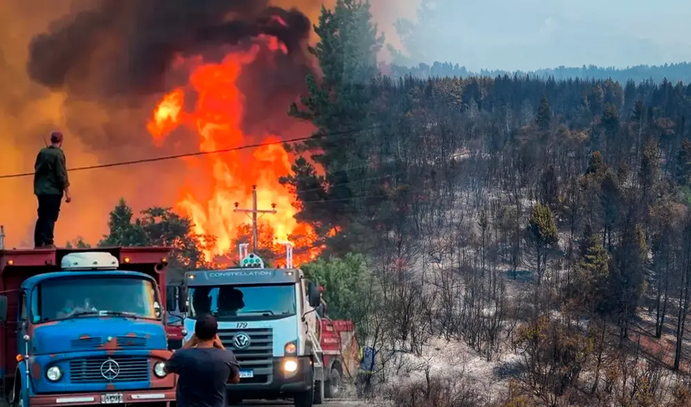 Incendios forestales en la Patagonia argentina causan una crisis fuera de control. Foto: composición LR