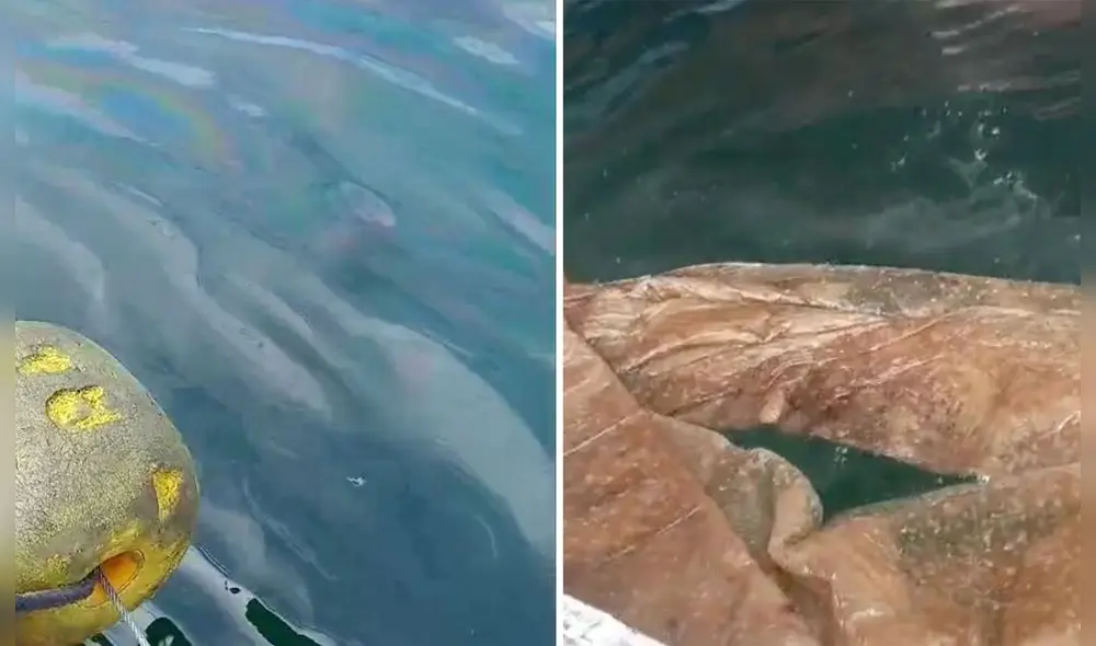 OEFA se encuentra supervisando el mar en Piura. Foto: Almendra Ruesta/La República OEFA se encuentra supervisando el mar en Piura. Foto: Almendra Ruesta/La República