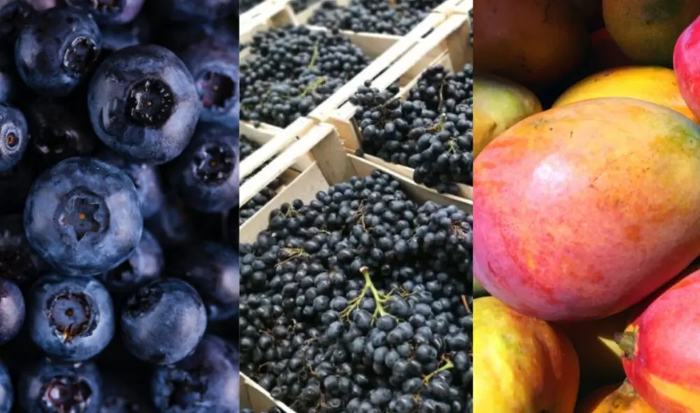 Las ventas en exportaciones de frutas y hortalizas sumaron más de US$7.628 millones. Foto: Andina