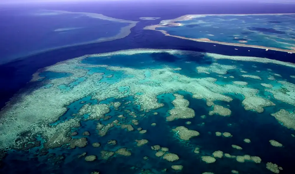 La Gran Barrera de Coral fue declarada Patrimonio de la Humanidad por la Unesco en 1981. Foto: difusión