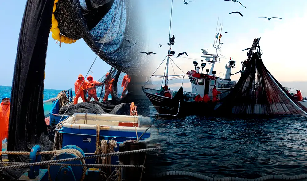 Expertos advierten sobre el riesgo de prescripción de sanciones a empresas pesqueras mientras PRODUCE asegura que cumplirá con las sanciones y no desatenderá la protección de las áreas naturales. Foto: composición LR Expertos advierten sobre el riesgo de prescripción de sanciones a empresas pesqueras mientras PRODUCE asegura que cumplirá con las sanciones y no desatenderá la protección de las áreas naturales. Foto: composición LR