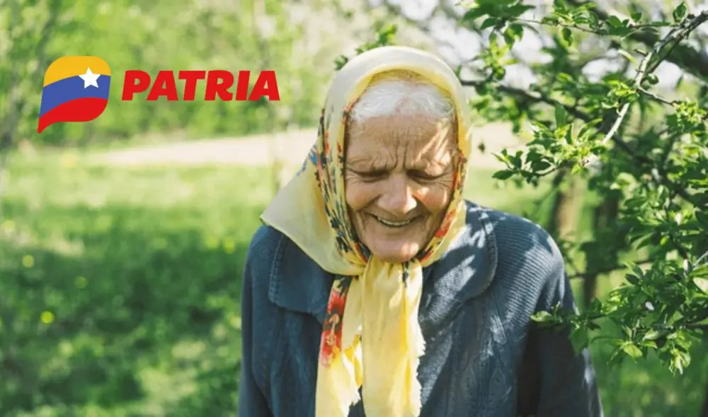 El Bono de Guerra se entrega por el Sistema Patria. Foto: composiciónLR/Freepik/Patria
