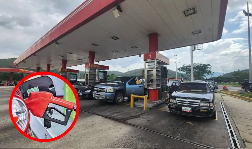 La gasolina subsidiada en Venezuela se distribuye tomando en cuenta el número terminal de placa de los vehículos. Foto: composiciónLR/Naguara/Notitarde