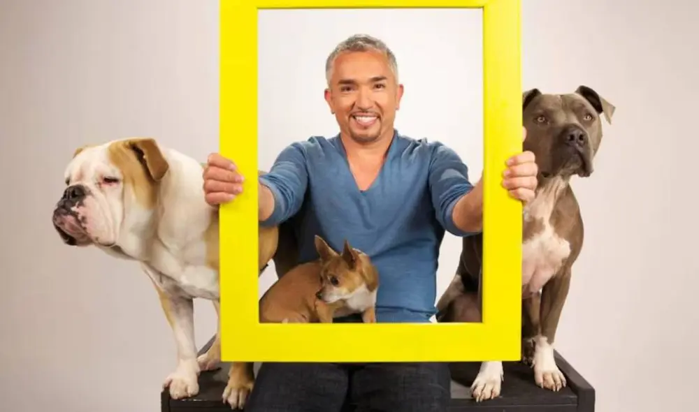 La inspiradora historia del Encantador de Perros en Estados Unidos. Foto: Nat Geo