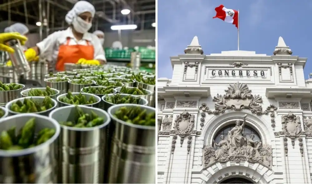 El Congreso busca que las agroexportadoras solo paguen el 15% del impuesto a la renta hasta el 2035. Foto: composición LR/Andina/Congreso El Congreso busca que las agroexportadoras solo paguen el 15% del impuesto a la renta hasta el 2035. Foto: composición LR/Andina/Congreso