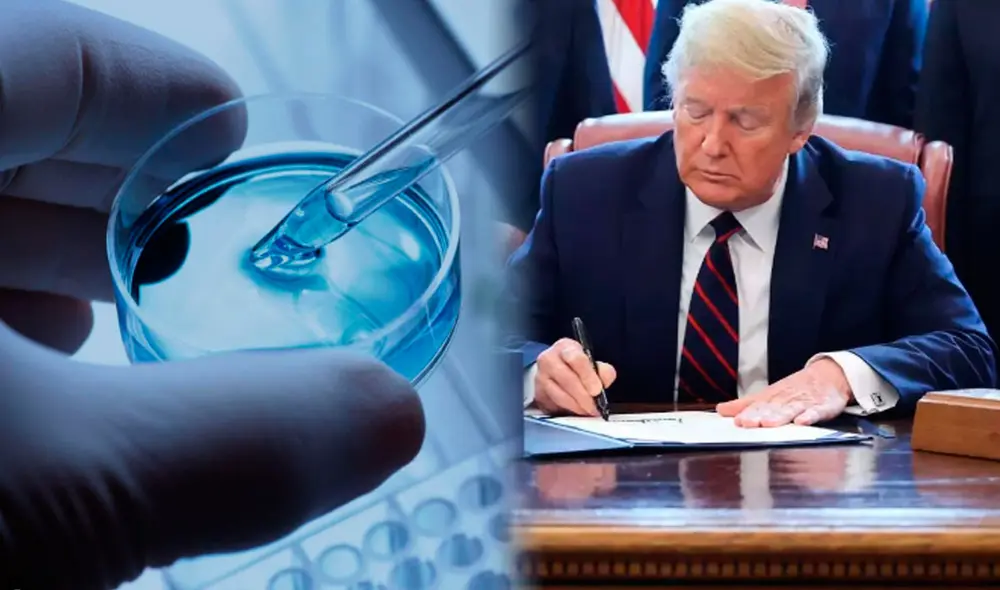 En 2018, aproximadamente el 2% de todos los nacimientos en EE. UU. fueron el resultado de tecnologías de reproducción asistida, como la FIV. Foto: composición LR/ France 24 En 2018, aproximadamente el 2% de todos los nacimientos en EE. UU. fueron el resultado de tecnologías de reproducción asistida, como la FIV. Foto: composición LR/ France 24