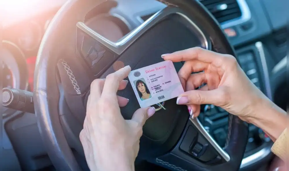 Recaudador de impuestos de Miami-Dade planea visitar oficinas de licencias de conducir. Foto: Free Way Seguros