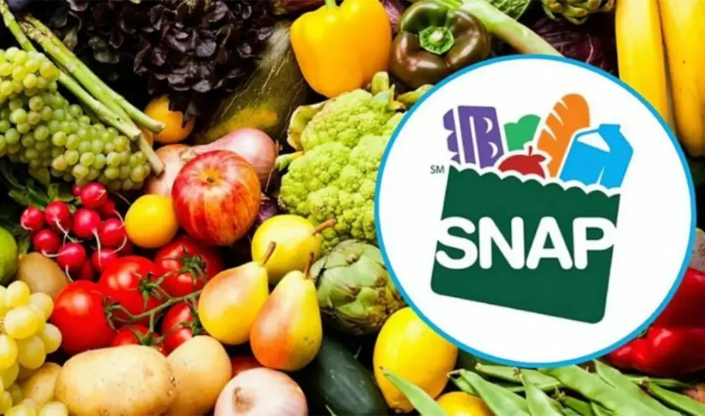 El Programa de Asistencia Nutricional Suplementaria (SNAP) en EE. UU. ayuda a familias de bajos ingresos a acceder a alimentos nutritivos. Cada mes, los beneficiarios reciben un depósito para comprar alimentos esenciales. Foto: 2001