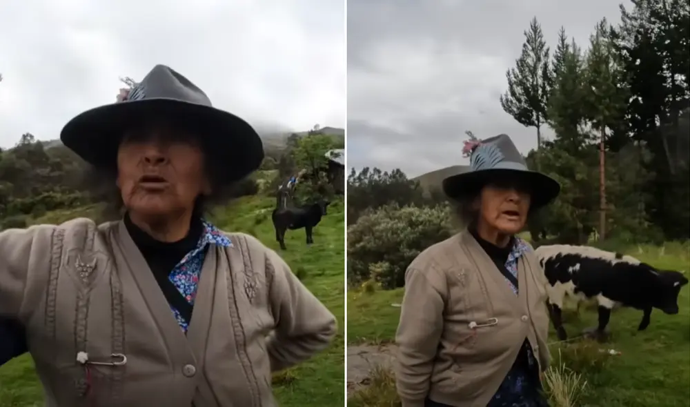 La conmovedora historia de una mujer quechuahablante de 71 años que vive sola en un remoto rincón de los Andes peruanos. Foto: composición LR/YouTube La conmovedora historia de una mujer quechuahablante de 71 años que vive sola en un remoto rincón de los Andes peruanos. Foto: composición LR/YouTube