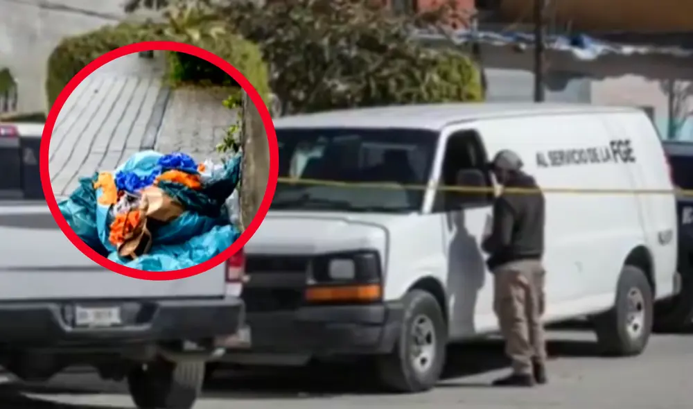 La Fiscalía de Baja California investiga el descubrimiento del cuerpo de una bebé que medía aproximadamente 54 centímetros, encontrado entre desechos. Foto: composición LR/Difusión/Captura de pantalla La Fiscalía de Baja California investiga el descubrimiento del cuerpo de una bebé que medía aproximadamente 54 centímetros, encontrado entre desechos. Foto: composición LR/Difusión/Captura de pantalla