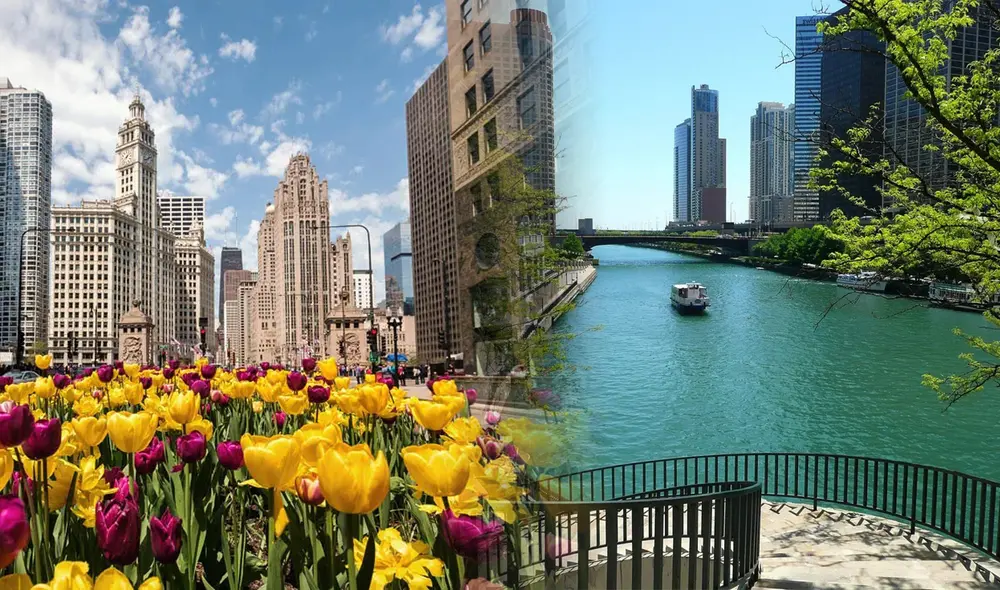 Chicago se prepara para la llegada de la primavera el 20 de marzo de 2025, marcando el fin del invierno con temperaturas más cálidas y días más largos. Foto: composición LR/ Notiespartano/Telemundo Chicago se prepara para la llegada de la primavera el 20 de marzo de 2025, marcando el fin del invierno con temperaturas más cálidas y días más largos. Foto: composición LR/ Notiespartano/Telemundo