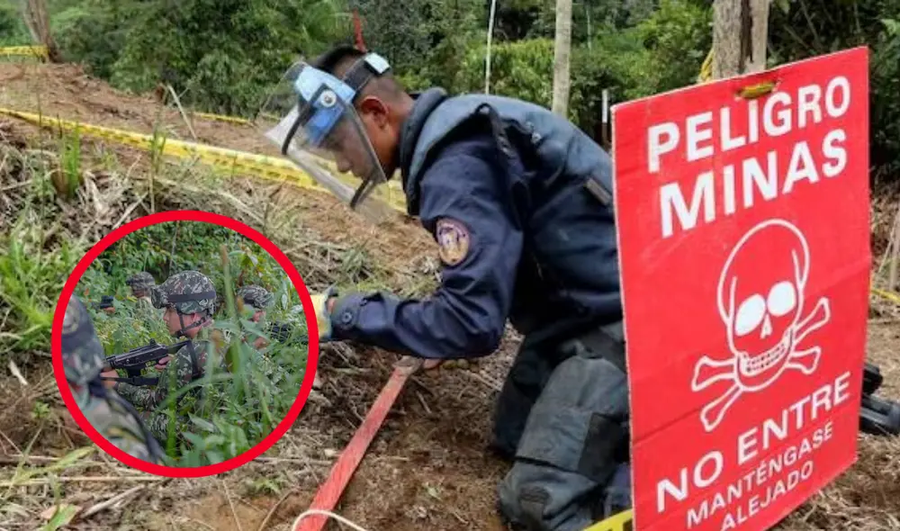 En un operativo, el Comando Contra el Narcotráfico y el Ejército desactivaron un campo minado en Tibú, Catatumbo, hallando ocho cilindros explosivos y detonadores eléctricos. Foto: composición LR/Colprensa/Ejercito colombiano